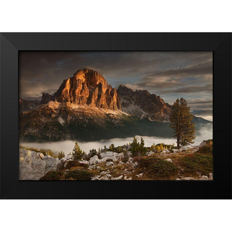 Tofana De Rozes Black Modern Wood Framed Art Print by Rericha, Daniel