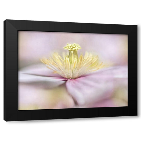 Montana Black Modern Wood Framed Art Print with Double Matting by Disher, Mandy