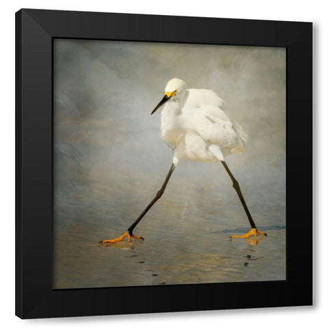 The Rock Star Black Modern Wood Framed Art Print by Forns, Alfred