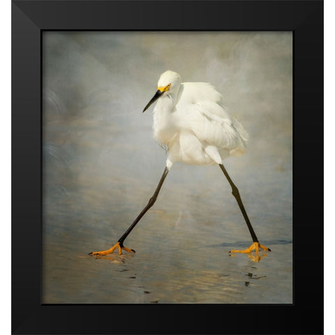 The Rock Star Black Modern Wood Framed Art Print by Forns, Alfred