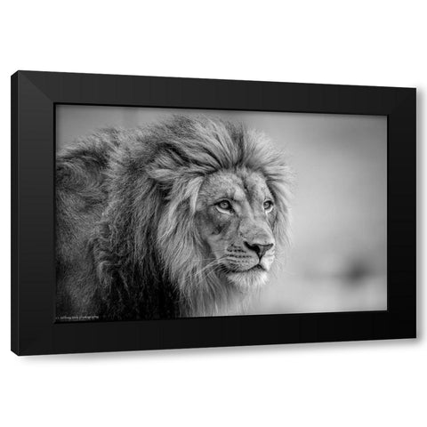 His Majesty.... Black Modern Wood Framed Art Print by C. Sink, Jeffrey