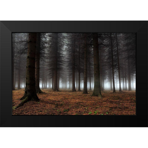 Place Of Silence Black Modern Wood Framed Art Print by Petrovic, Dragisa