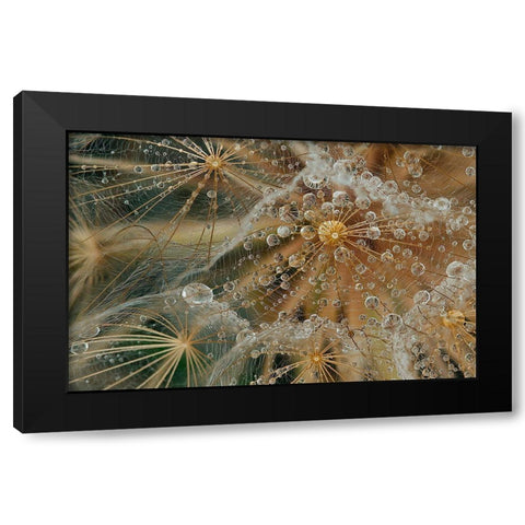 Starless Black Modern Wood Framed Art Print with Double Matting by Filosofo, El