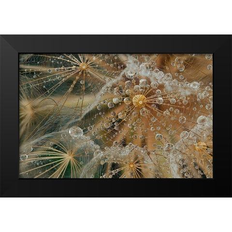 Starless Black Modern Wood Framed Art Print by Filosofo, El