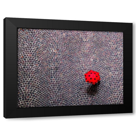 Urban Ladybug Black Modern Wood Framed Art Print by Maffei, Franco