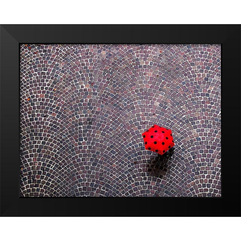 Urban Ladybug Black Modern Wood Framed Art Print by Maffei, Franco