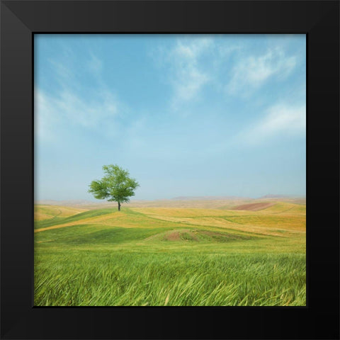 Everything Is Good Black Modern Wood Framed Art Print by Zare, Hossein