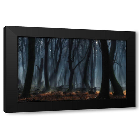 Dancing Trees Black Modern Wood Framed Art Print by Paul Kraaij, Jan