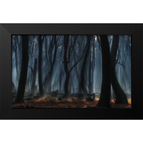 Dancing Trees Black Modern Wood Framed Art Print by Paul Kraaij, Jan