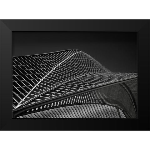 Stationlines Black Modern Wood Framed Art Print by Van Maastricht, Henk