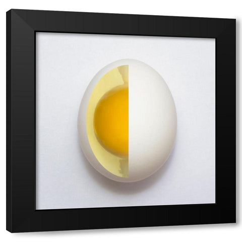 Inner Egg Black Modern Wood Framed Art Print with Double Matting by Alves, Adelino