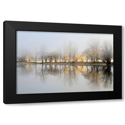 January Morning Black Modern Wood Framed Art Print with Double Matting by Bor