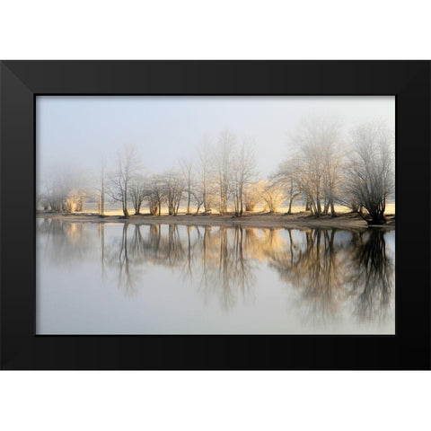 January Morning Black Modern Wood Framed Art Print by Bor