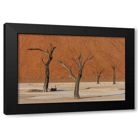 Dead Dancers Black Modern Wood Framed Art Print with Double Matting by Stranak, Pavol