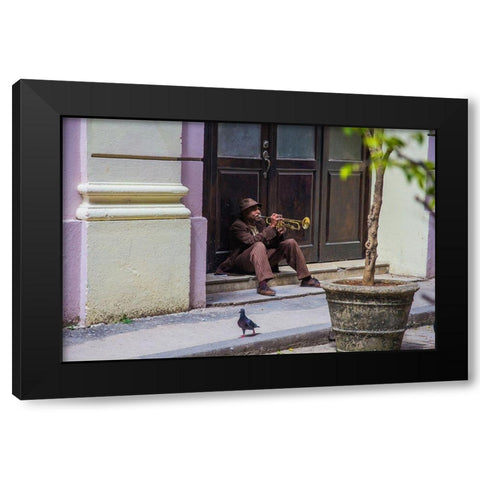 Playing For Pigeons Black Modern Wood Framed Art Print with Double Matting by Hatherill, Colin