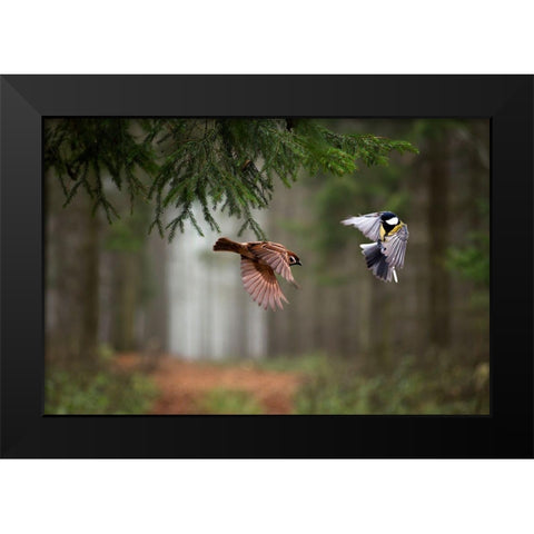 Two Black Modern Wood Framed Art Print by Bognar, Peter