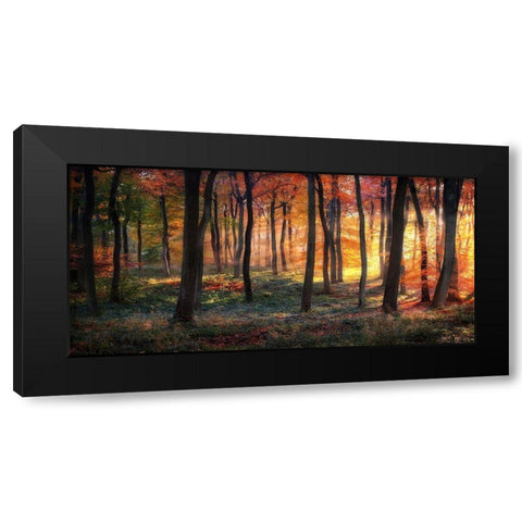 Autumn Woodland Sunrise Black Modern Wood Framed Art Print by Photokes