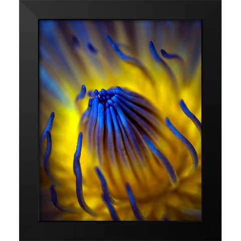 Blow Up Black Modern Wood Framed Art Print by Bunjamin, Antonyus