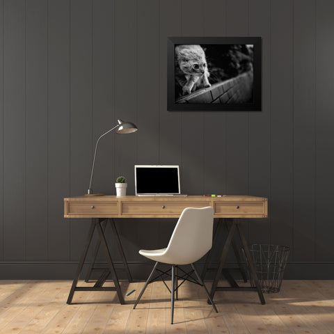 Ready To Fight Black Modern Wood Framed Art Print by Suzuki, Tatsuo