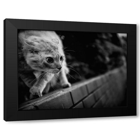 Ready To Fight Black Modern Wood Framed Art Print with Double Matting by Suzuki, Tatsuo