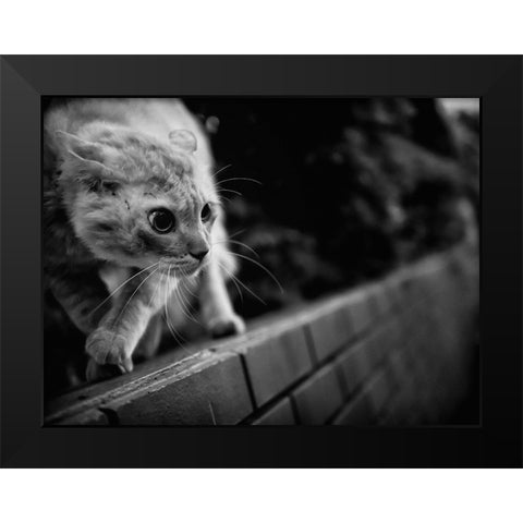 Ready To Fight Black Modern Wood Framed Art Print by Suzuki, Tatsuo