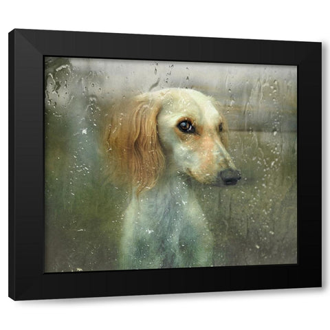 That Autumn... Black Modern Wood Framed Art Print with Double Matting by Melik-Nubarova, Svetlana