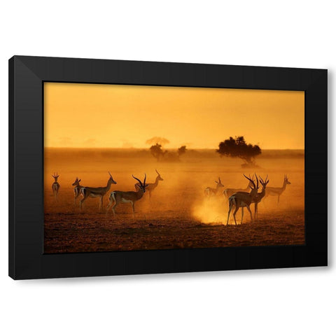 Sentinels Black Modern Wood Framed Art Print with Double Matting by Guillemot, Mathilde