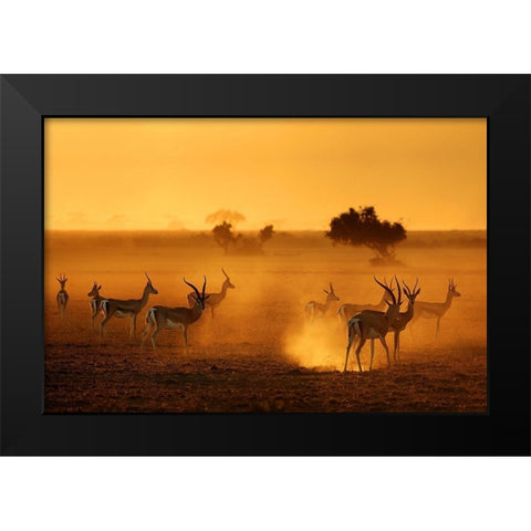 Sentinels Black Modern Wood Framed Art Print by Guillemot, Mathilde