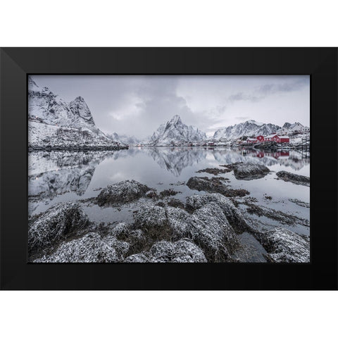 Reine Black Modern Wood Framed Art Print by Hoffmann, Raymond