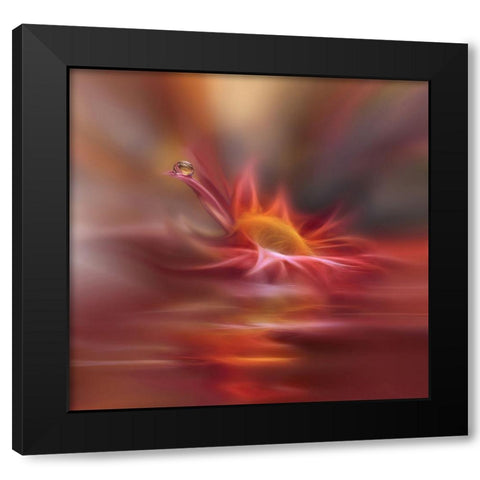 Song Of My Soul... Black Modern Wood Framed Art Print with Double Matting by Nan, Juliana