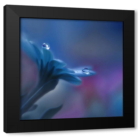 Beyond Mind And Heart... Black Modern Wood Framed Art Print with Double Matting by Nan, Juliana