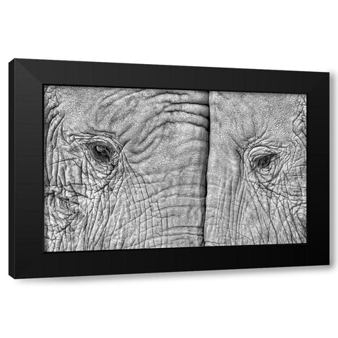 Two Elephants Black Modern Wood Framed Art Print by Luis Duran, Juan