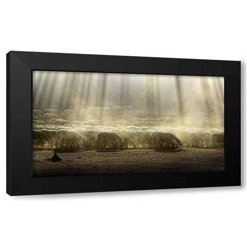 Herd Sheep In The Forest Black Modern Wood Framed Art Print with Double Matting by Georgiev, Deyan