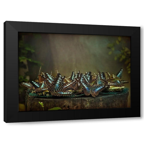 Rendezvous Black Modern Wood Framed Art Print with Double Matting by Dagobert, Antoine