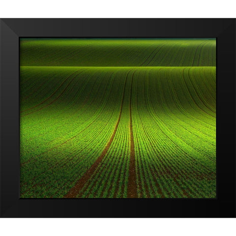 November Green Black Modern Wood Framed Art Print by Schumacher, Nicolas