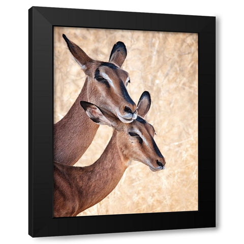 Do Not Worry, IM Here Black Modern Wood Framed Art Print by Guillemot, Mathilde