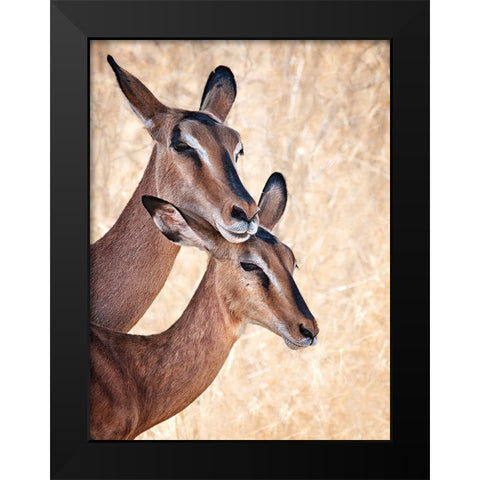 Do Not Worry, IM Here Black Modern Wood Framed Art Print by Guillemot, Mathilde