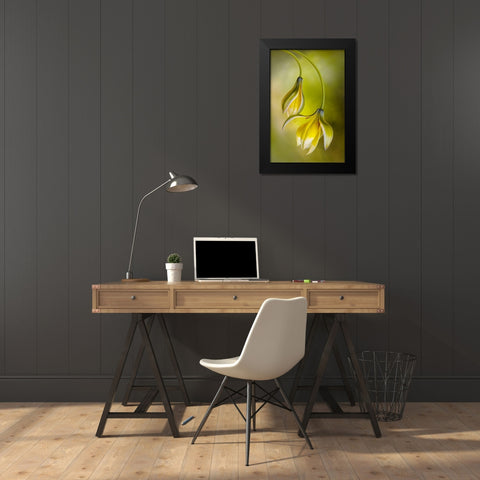 Tulipa Black Modern Wood Framed Art Print by Disher, Mandy