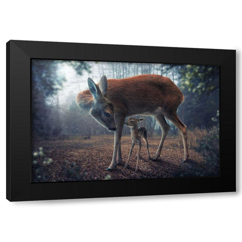 Mother And Fawn Black Modern Wood Framed Art Print with Double Matting by Wilhelm, John