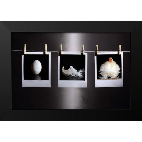 The Life Black Modern Wood Framed Art Print by Ivanova, Victoria