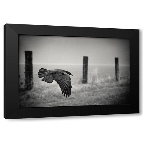 The Day Of The Raven Black Modern Wood Framed Art Print with Double Matting by Droste, Holger