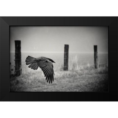 The Day Of The Raven Black Modern Wood Framed Art Print by Droste, Holger