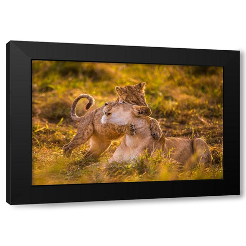 Charm Black Modern Wood Framed Art Print with Double Matting by Alnaser, Mohammed