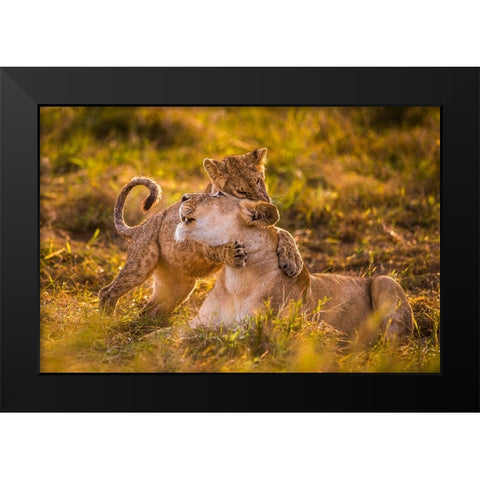 Charm Black Modern Wood Framed Art Print by Alnaser, Mohammed