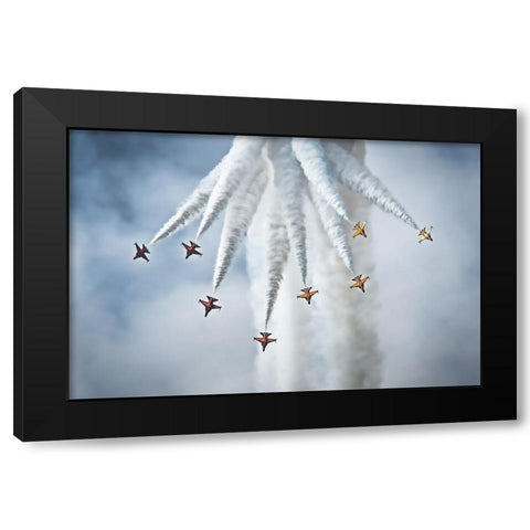 Black Eagles Black Modern Wood Framed Art Print with Double Matting by Walmsley, Peter
