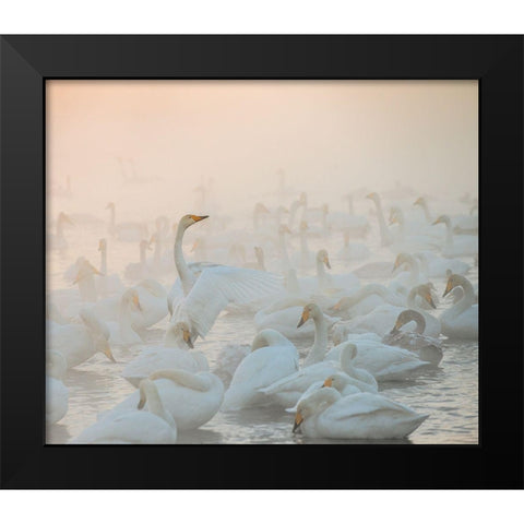 Song Of The Morning Light Black Modern Wood Framed Art Print by Dubikovskiy, Dmitry