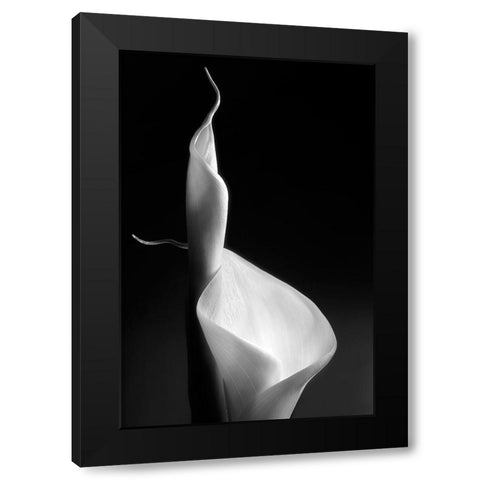 Female Curves Black Modern Wood Framed Art Print by Pascual Buye, Santiago