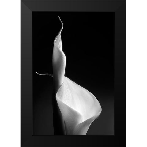 Female Curves Black Modern Wood Framed Art Print by Pascual Buye, Santiago
