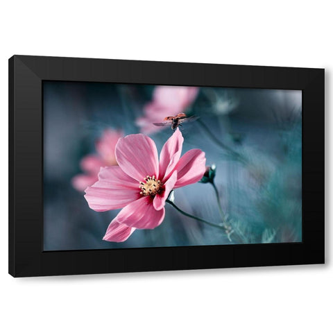 Clair De Terre Black Modern Wood Framed Art Print by Bravin, Fabien