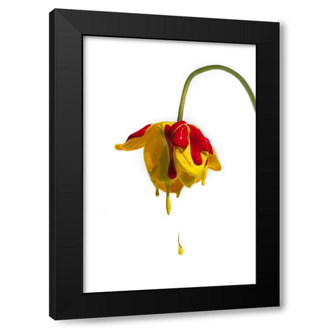 Crying Flower Black Modern Wood Framed Art Print by Mathiesen, Kent